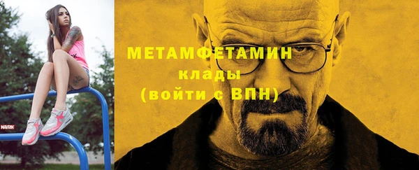 индика Алексин